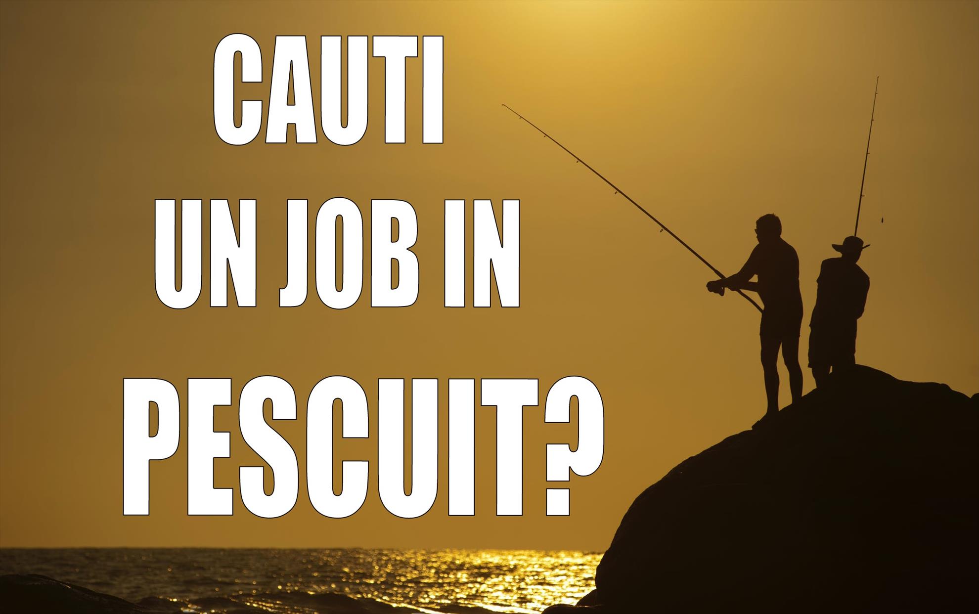 Cauti un loc de munca in pescuit? Mim Team isi mareste echipa de vanzari!